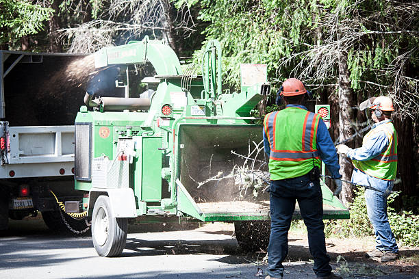 Alturas, CA Tree Services Company